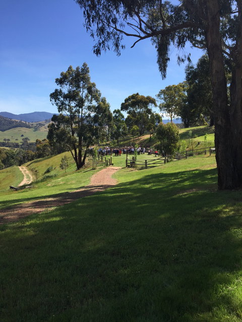 Howqua Valley Views - Accommodation VIC 8