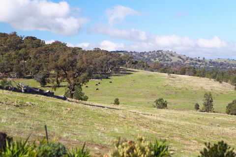 Longview Holiday Let Glenrowan - Accommodation VIC 5