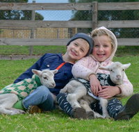 Narnu  Farm Farm stay/ School Camp - Accommodation VIC