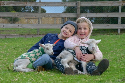 Narnu  Farm (Farm Stay/ School Camp) - Accommodation VIC 0