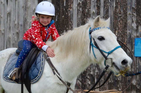 Narnu  Farm (Farm Stay/ School Camp) - Accommodation VIC 1