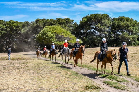 Narnu  Farm (Farm Stay/ School Camp) - Accommodation VIC 2
