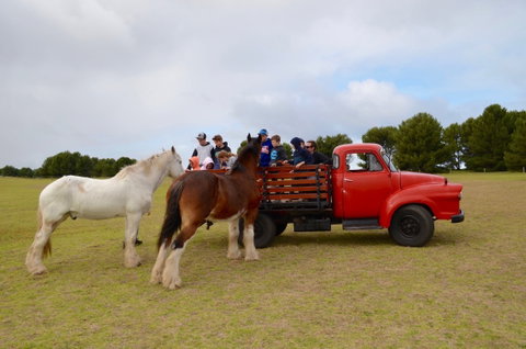 Narnu  Farm (Farm Stay/ School Camp) - Accommodation VIC 3