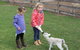 Narnu  Farm (Farm Stay/ School Camp) - thumb 4