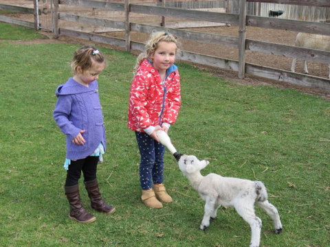 Narnu  Farm (Farm Stay/ School Camp) - Accommodation VIC 4