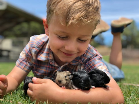 Narnu  Farm (Farm Stay/ School Camp) - Accommodation VIC 5