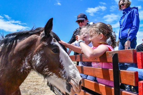 Narnu  Farm (Farm Stay/ School Camp) - Accommodation VIC 6