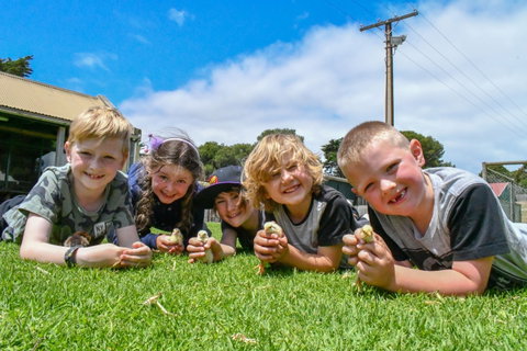 Narnu  Farm (Farm Stay/ School Camp) - Accommodation VIC 7