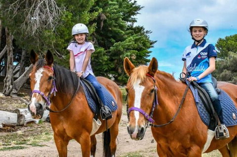 Narnu  Farm (Farm Stay/ School Camp) - Accommodation VIC 9