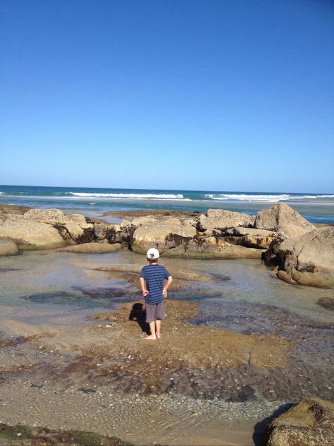 North East River Camping Ground - Accommodation VIC 1