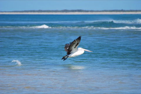 North East River Camping Ground - Accommodation VIC 5
