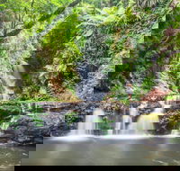 O'Reilly's Rainforest Retreat - Accommodation VIC