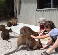 The Patriarch Wildlife Sanctuary Camping Ground - Accommodation VIC