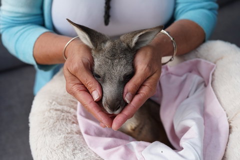 Tiandi Wildlife Sanctuary Farm Stay - Jambalaya Cottage - Accommodation VIC 7