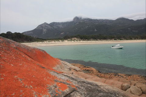 Trousers Point Camping Ground - Accommodation VIC 0