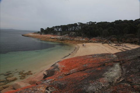 Trousers Point Camping Ground - Accommodation VIC 1