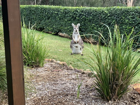 Wild Edge Retreat - Accommodation VIC 9