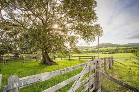 Bo-Warra Farmstay - Accommodation VIC 2