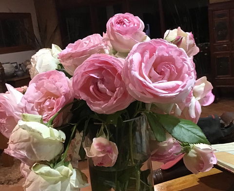 Jalbrook  Estate-  Cottages,Alpacas,Gallery & Function Centre - Accommodation VIC 1