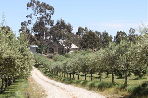 L'Oliveraie - Accommodation VIC 2