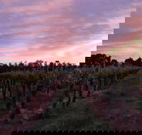 Milawa Vineyard Views - Accommodation VIC