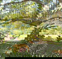 Nimbin Rox YHA - Accommodation VIC