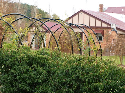 Pierrepoint Wines Bed & Breakfast - Accommodation VIC 1