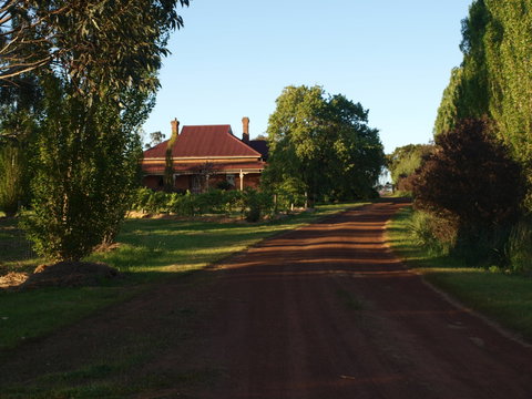 Pierrepoint Wines Bed & Breakfast - Accommodation VIC 4