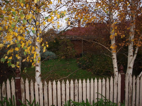 Pierrepoint Wines Bed & Breakfast - Accommodation VIC 6