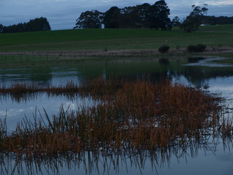 Pierrepoint Wines Bed & Breakfast - Accommodation VIC 8