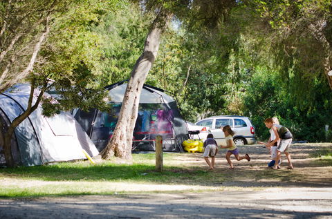 Rosebud Foreshore Camping - Accommodation VIC 2
