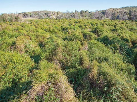 Shelley Head Campground - Accommodation VIC 1