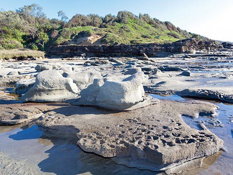 Shelley Head Campground - Accommodation VIC 2