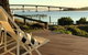 The Admiral Riverside - thumb 0