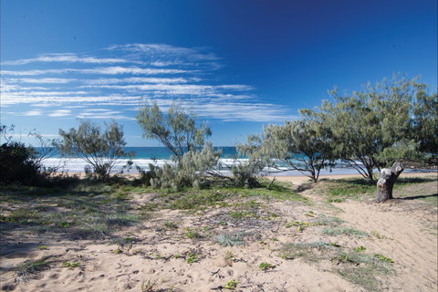 Deepwater National Park Camping - Accommodation VIC 0