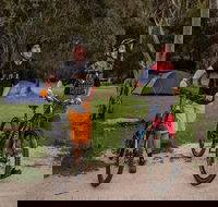 Ngarigo campground - Accommodation VIC