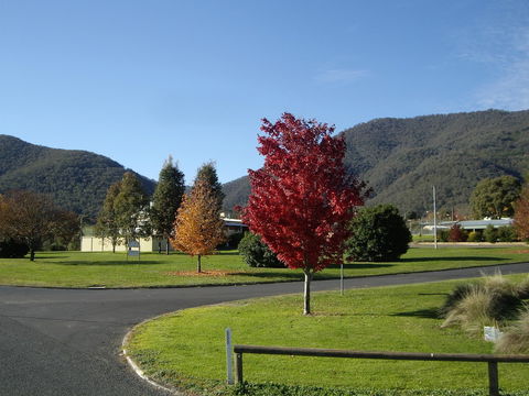 Talbingo Country Club - Accommodation VIC 1