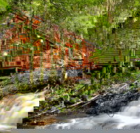 The Mouses House - Rainforest Retreat - Accommodation VIC