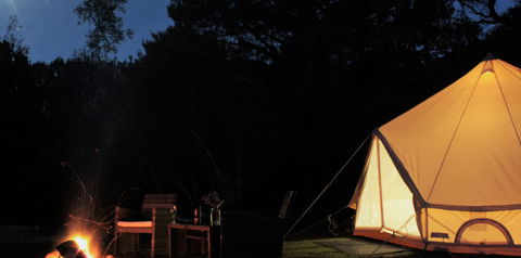 Zeehan Bush Camp - Accommodation VIC 1