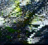 Aldgate Valley Bed and Breakfast - Accommodation VIC