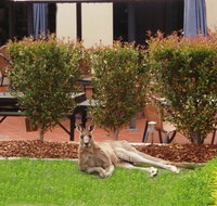 Alpha Canberra Hotel - Accommodation VIC