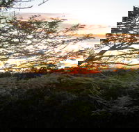 Annie's Place Bed and Breakfast - Accommodation VIC