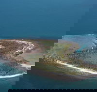 Camp Island Lodge - Accommodation VIC