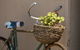 Catania Cottage And Farmhouse - thumb 0
