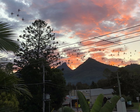 Chesson Lodge- In The Heart Of Uki - Accommodation VIC 0