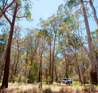 Coolah Tops National Park Camping - Accommodation VIC