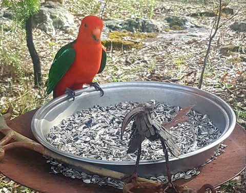 Fieri Natura In Kangaroo Valley - Accommodation VIC 2