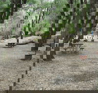 Honeymoon Pool Camp at Wellington National Park - Accommodation VIC