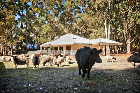 Margaret River Hideaway And Farmstay - Accommodation VIC 1