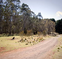 The Pines campground - Accommodation VIC